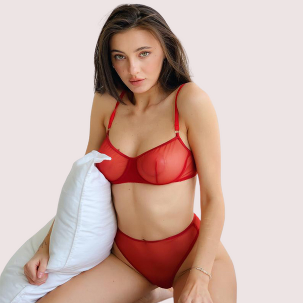 Scarlet Temptation See-Through Lingerie Set Snazzyway