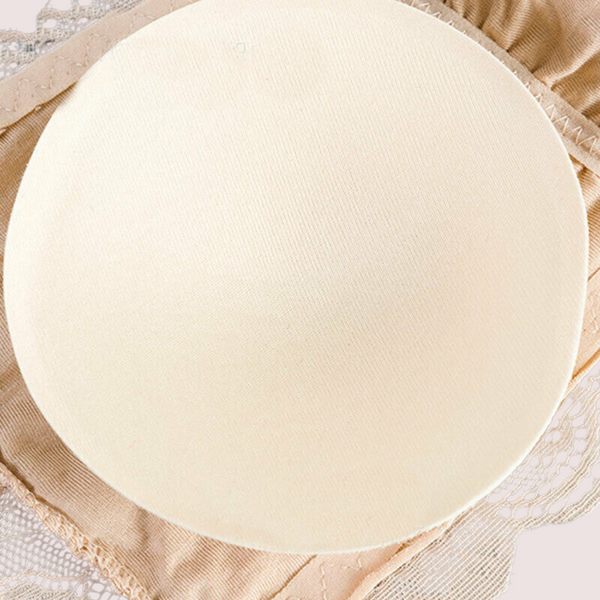 2 Pack sexy lace padded tue bra Snazzyway