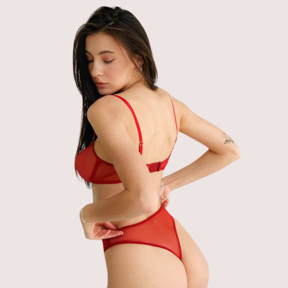 Scarlet Temptation See-Through Lingerie Set Snazzyway